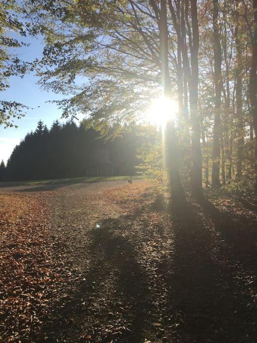 Sauerlandblick Ferienwohnung Altena Kültér fotó
